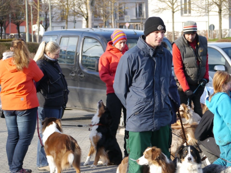 Du betrachtest gerade Aussietreffen Dezember 2015